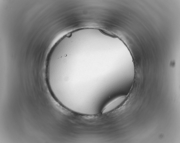 X0000090471147200708102128