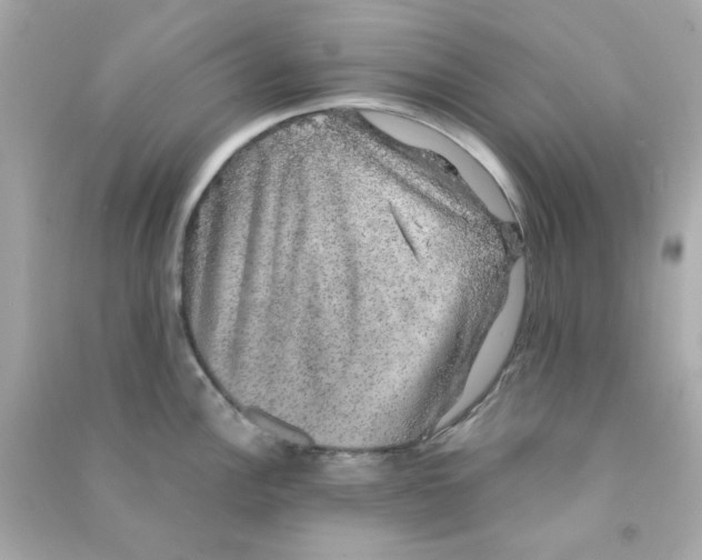 X0000090471148200708102128