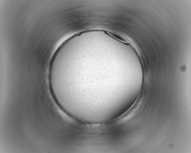 X0000090471149200708102128