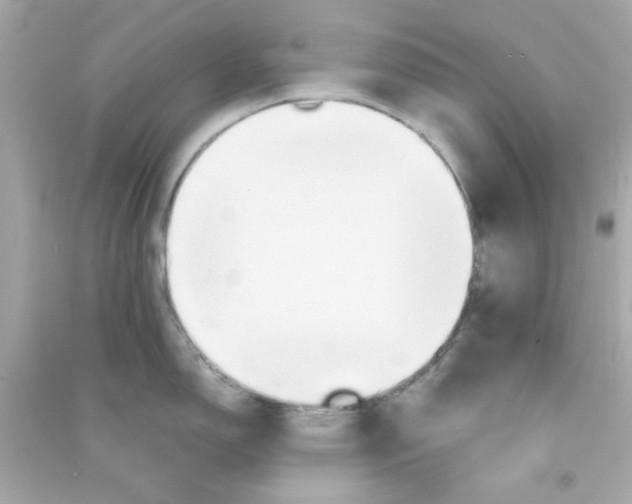 X0000090471150200708102128