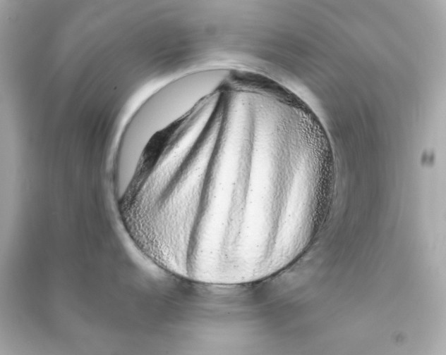 X0000090471152200708102128