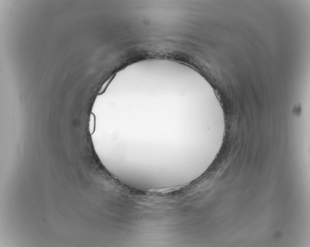 X0000090471153200708102127