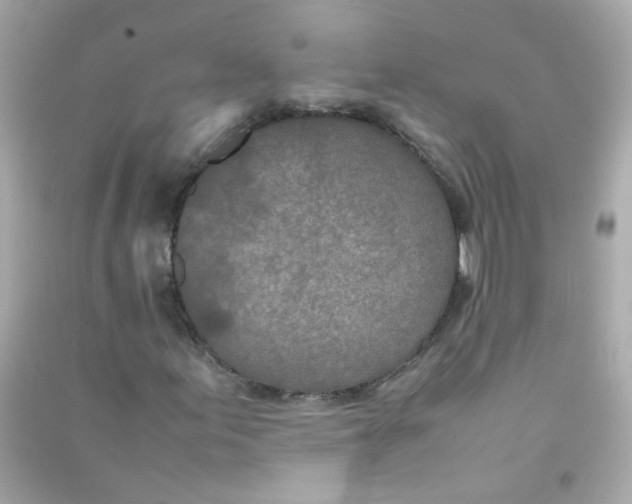 X0000090471155200708102127