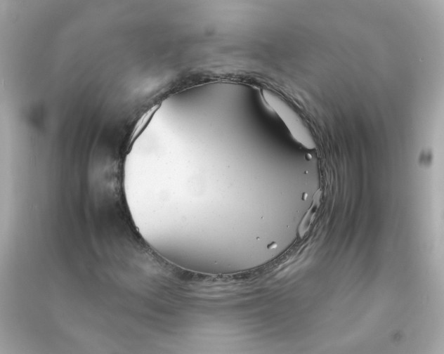 X0000090471156200708102127