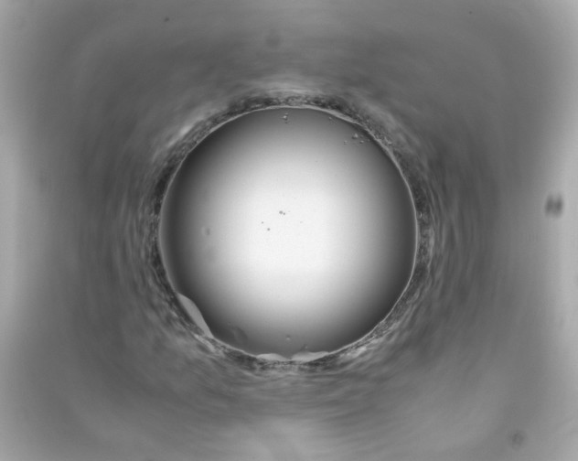 X0000090471157200708102127