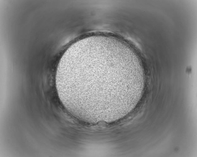 X0000090471159200708102127