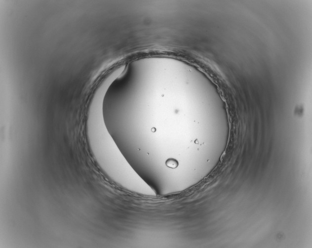 X0000090471160200708102127