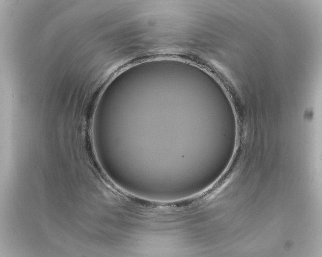 X0000090471161200708102127