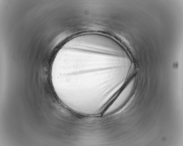 X0000090471163200708102127