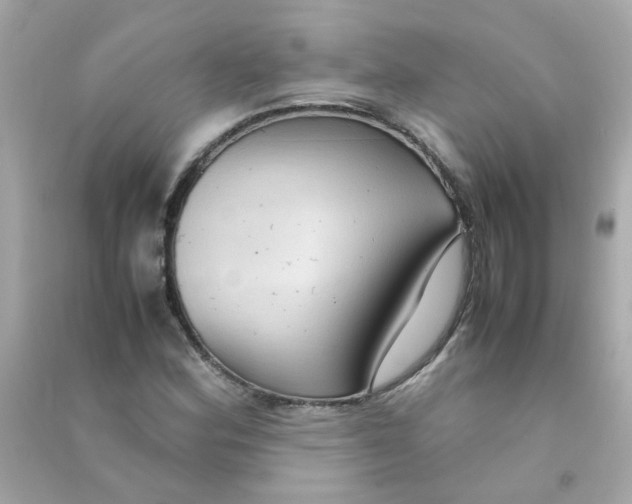 X0000090471164200708102127