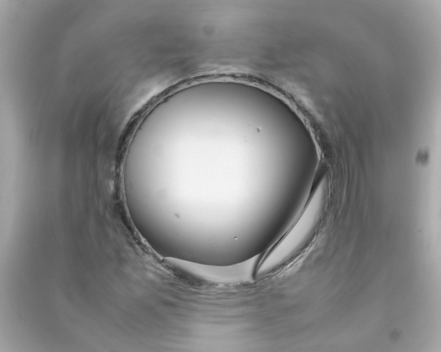 X0000090471165200708102127