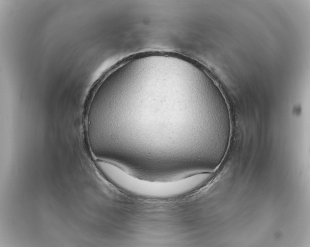 X0000090471168200708102127