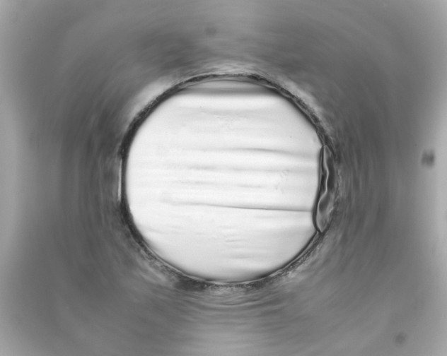 X0000090471171200708102127