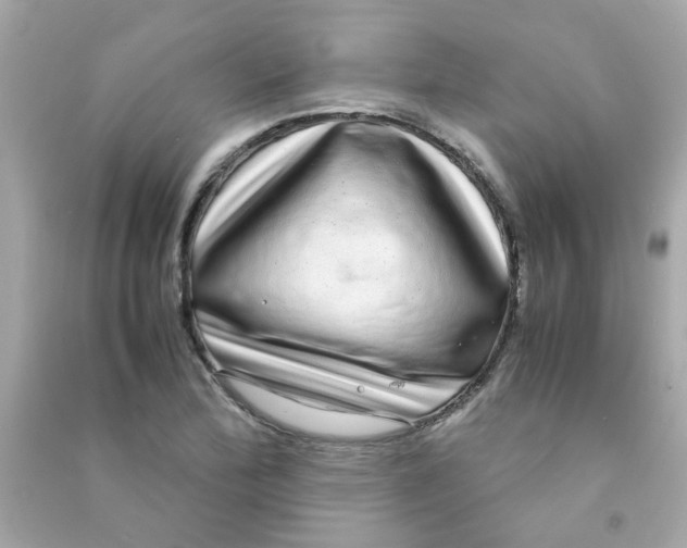 X0000090471172200708102127