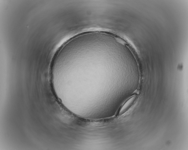 X0000090471173200708102127