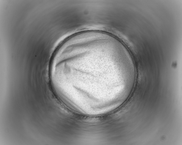 X0000090471174200708102127