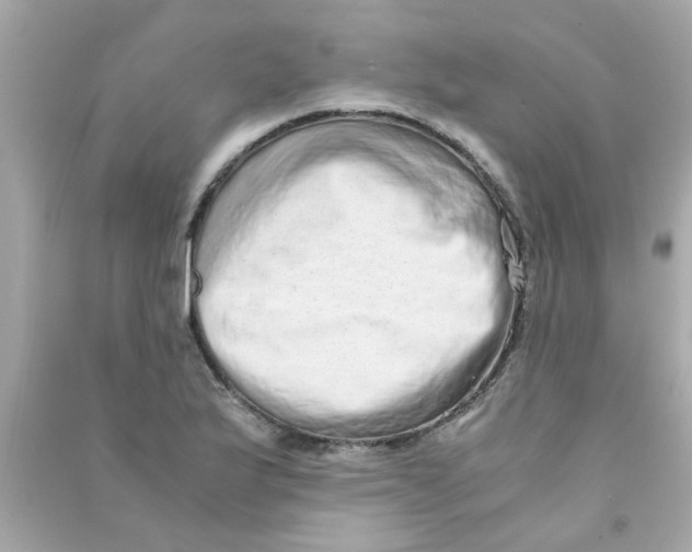 X0000090471175200708102127