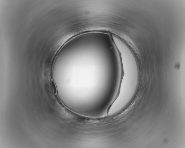 X0000090471177200708102127