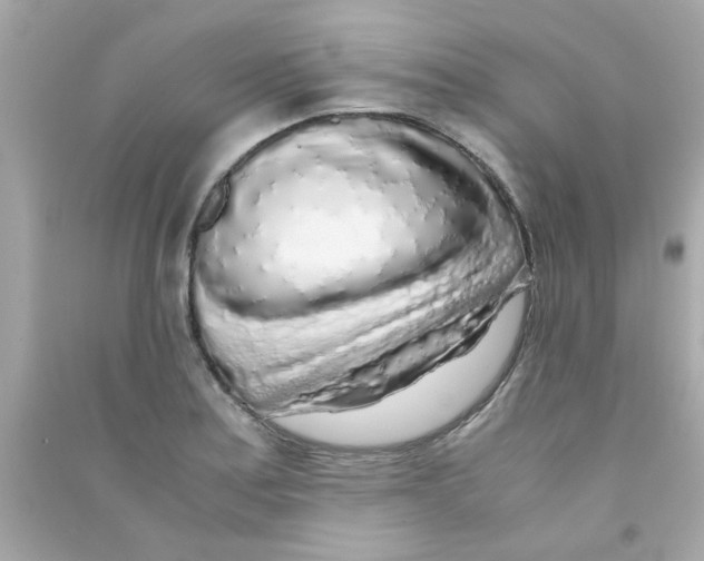 X0000090471179200708102127