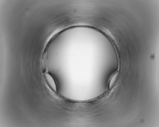 X0000090471181200708102127