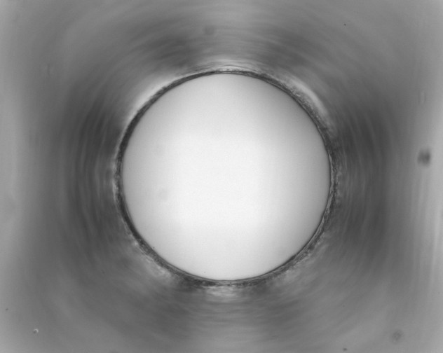 X0000090471182200708102127