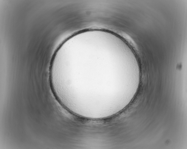 X0000090471183200708102127