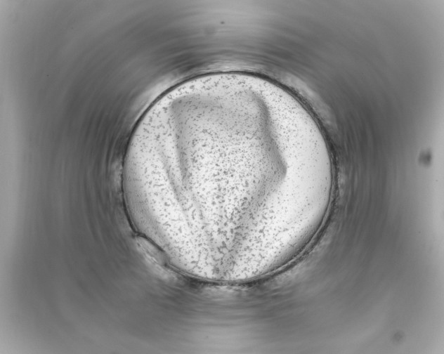 X0000090471185200708102127