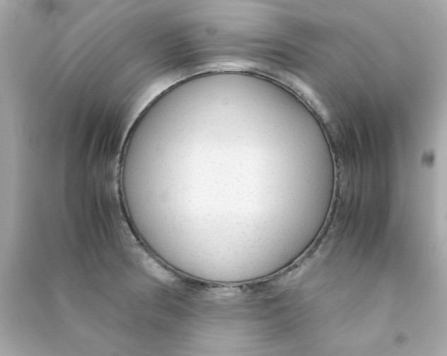 X0000090471186200708102127