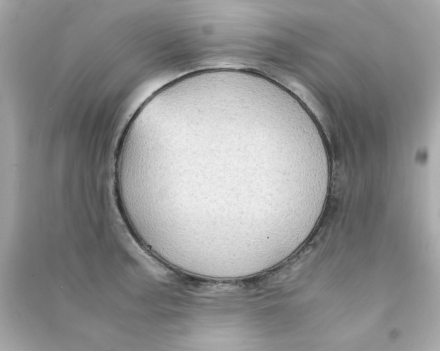 X0000090471187200708102127