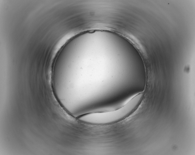 X0000090471188200708102127