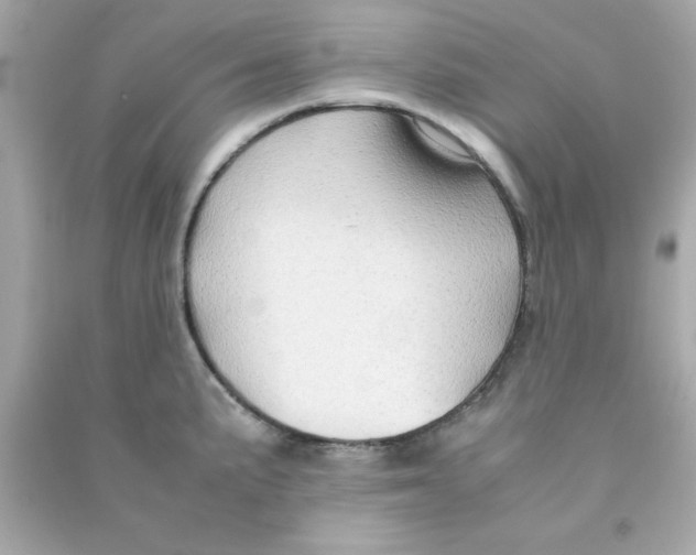 X0000090471191200708102127