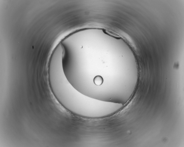 X0000090471192200708102127