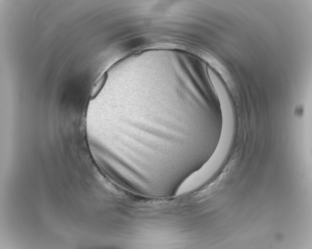 X0000090471193200708102127