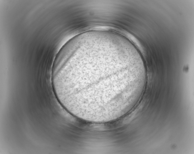 X0000090471194200708102127