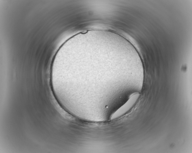 X0000090471195200708102127