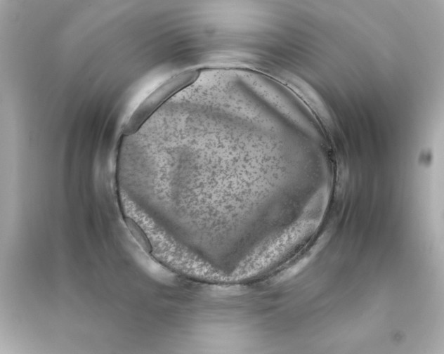 X0000090471196200708102127