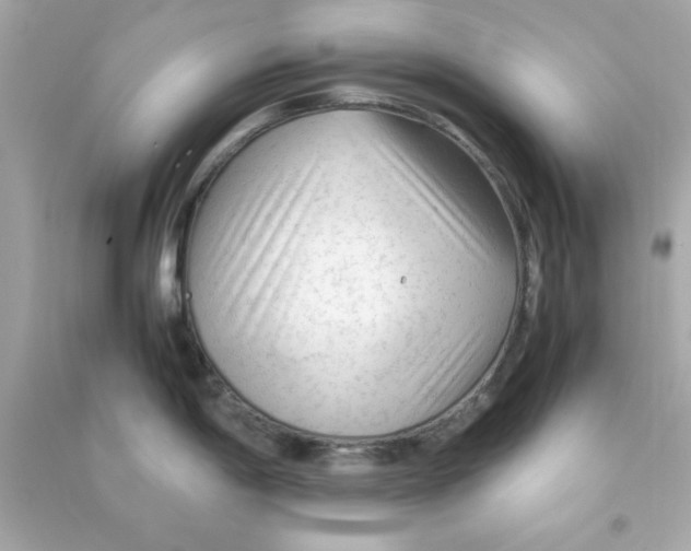 X0000090471198200708102127