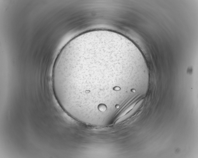 X0000090471199200708102127