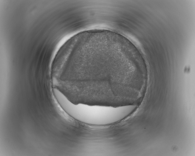 X0000090471200200708102127