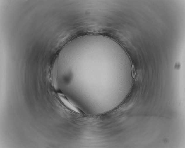 X0000090471202200708102126