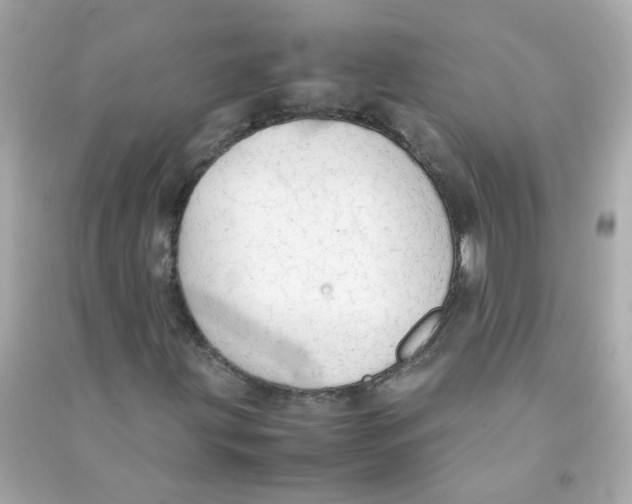 X0000090471203200708102126