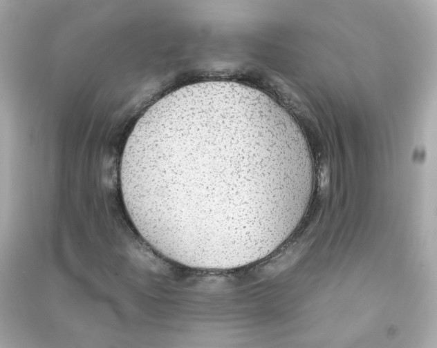 X0000090471204200708102126