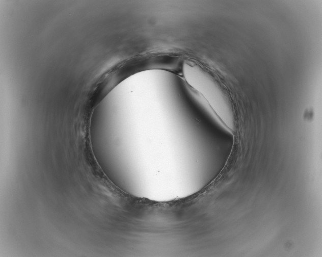 X0000090471206200708102126