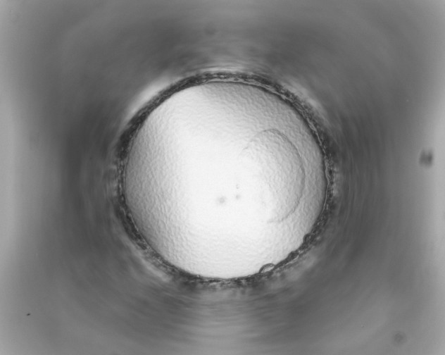 X0000090471208200708102126