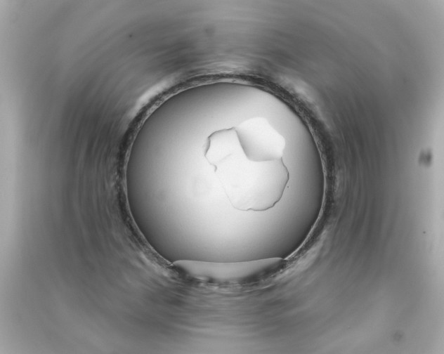 X0000090471210200708102126