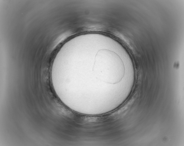 X0000090471211200708102126