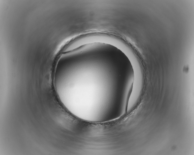 X0000090471214200708102126