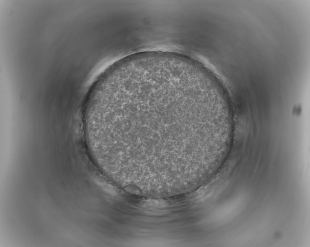 X0000090471215200708102126