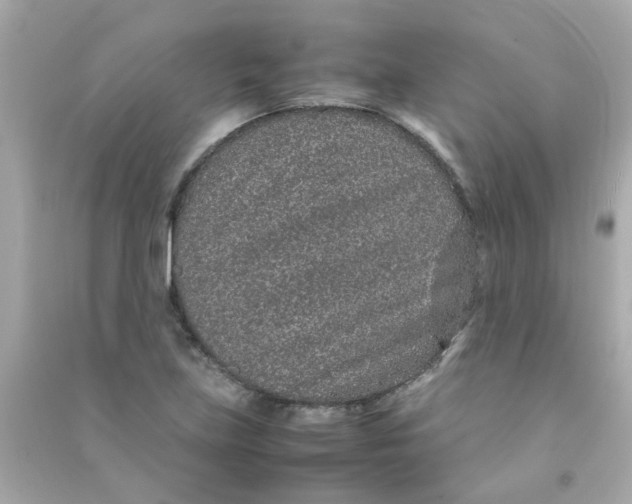 X0000090471219200708102126