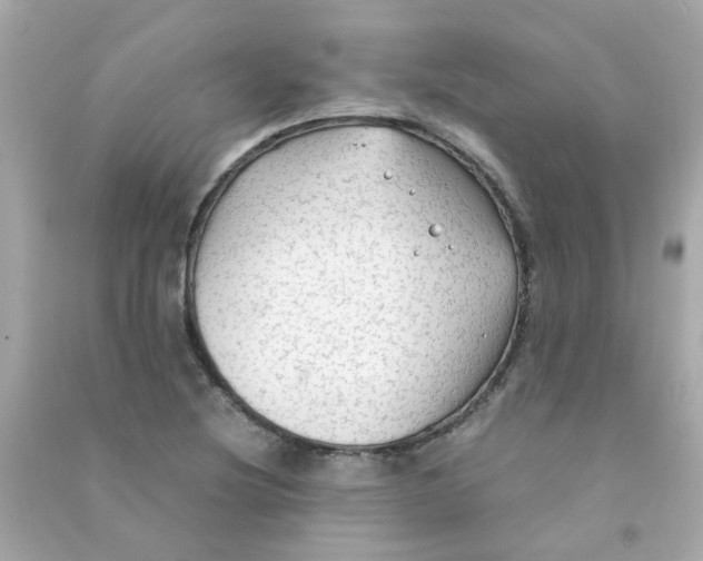 X0000090471220200708102126